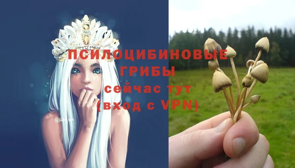 бутират Белокуриха