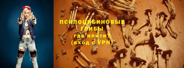хмурый Белоозёрский
